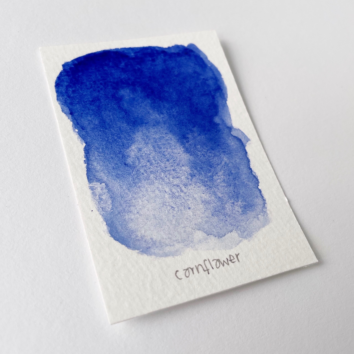 Cornflower
