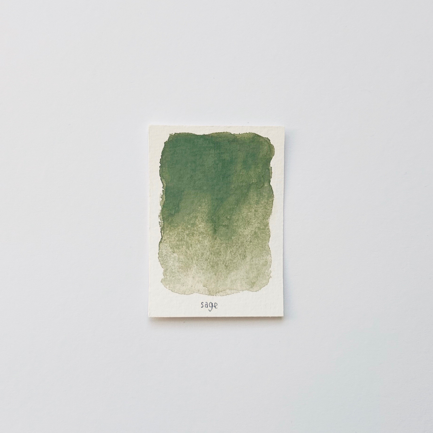 Sage