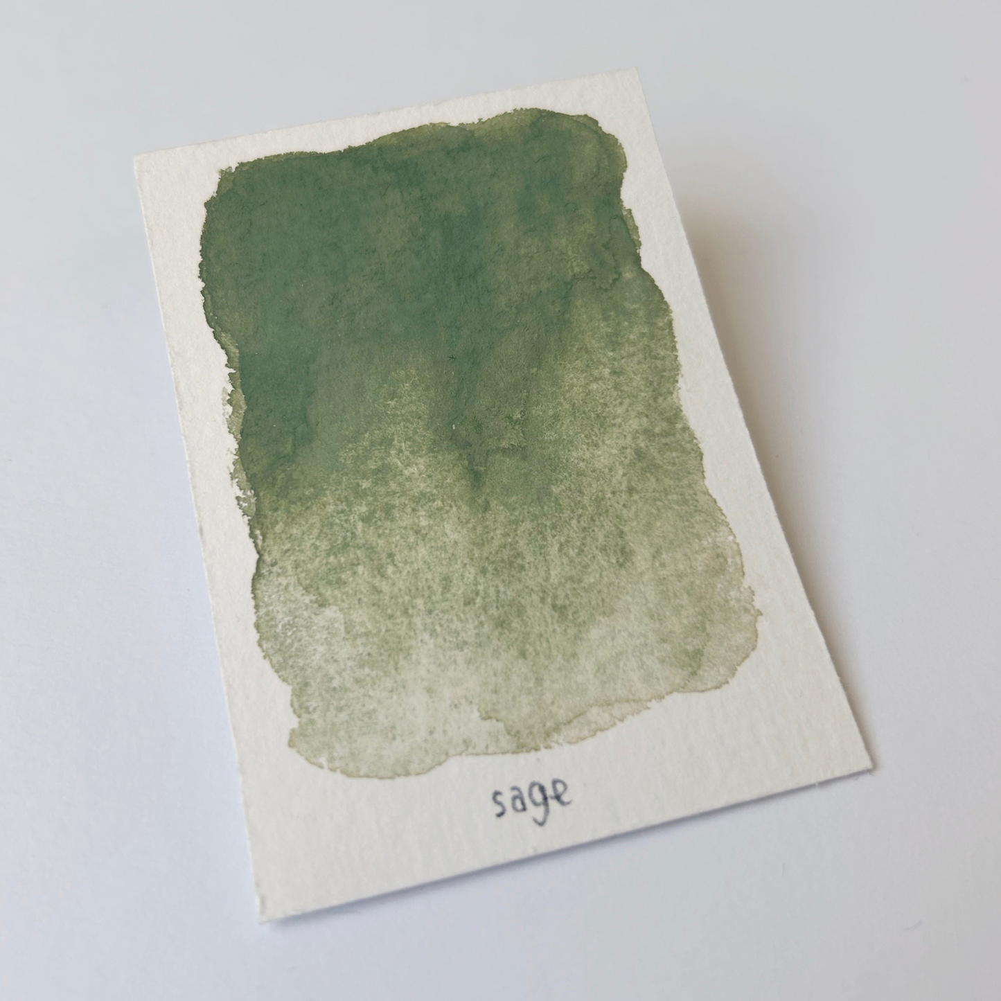 Sage